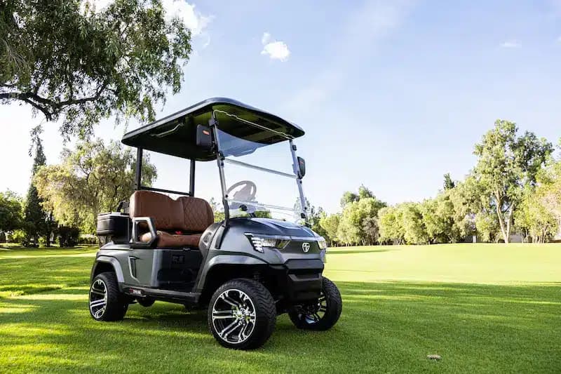 Zycar E2 gris de 2 pasajeros en campo de golf, vista frontal lateral