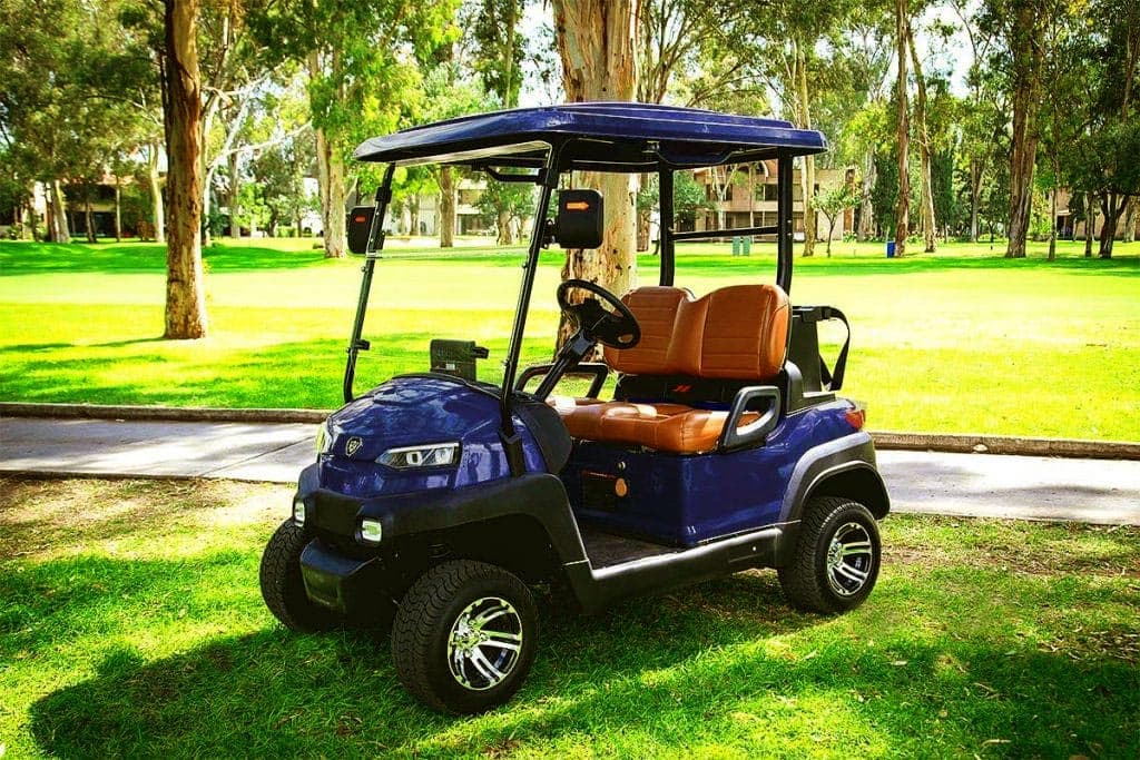 Zycar Z2 azul de 2 pasajeros sobre el césped, vista frontal lateral