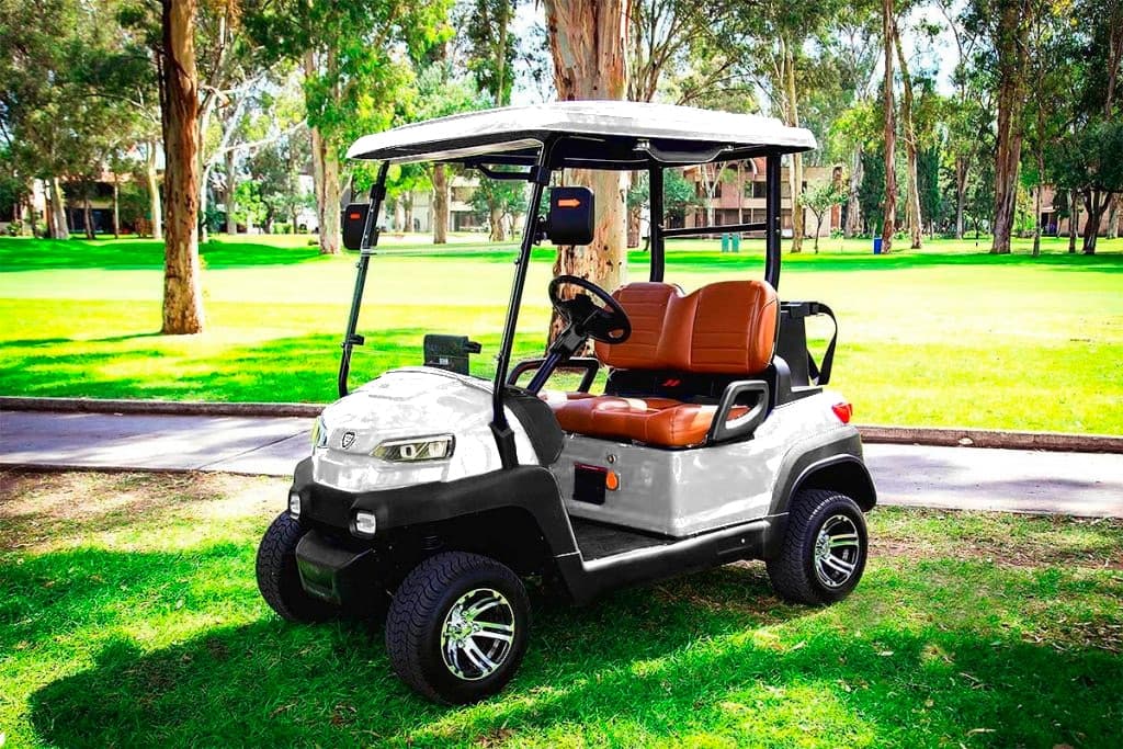 Zycar Z2 blanco de 2 pasajeros, vista frontal lateral